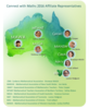 2016 CWM Affiliates Reps