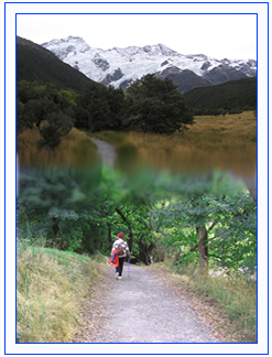 Bushwalking-large