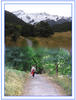 Bushwalking-large