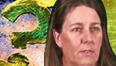 Judy Harnet- Inquiry