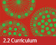 2.2 Curriculum