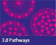 3.8 Pathways